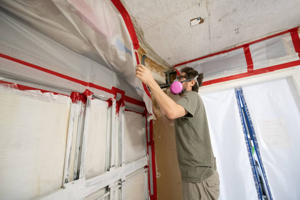 Best Mold Removal for HVAC Installations  in Robstown, TX